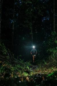 BIB: 
                            <button type="button" onclick="openModal(26207409)" class="btn btn-primary btn-sm float-right btn-popup" data-toggle="modal" data-target=".modal-high-quality">
                        <i class="fas fa-shopping-cart"></i> Add to Cart
                    </button>
                                            <button type="button" onclick="isThisMe(26207409, true)" class="btn btn-success btn-sm float-right btn-popup btn-isme hidden" data-toggle="tooltip" data-placement="bottom" title="นี่คือรูปของคุณใช่ไหม คลิกที่นี่เพื่อเอาเข้าอัลบั้ม">
                        <i class="fas fa-plus"></i> Add to album
                    </button>
                    <button type="button" onclick="isThisMe(26207409, false)" class="btn btn-warning btn-sm float-right btn-popup btn-isnotme hidden">
                        <i class="fas fa-ban"></i> Remove from album
                    </button>